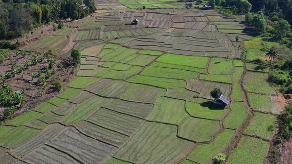 Aerial View of Mae La Noi Rice Terraces in Mae Hong Son Thailand