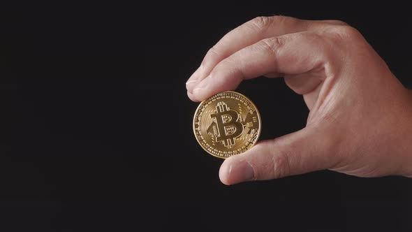 Male Hand Is Holding a Golden Bitcoin Cryptocurrency Coin