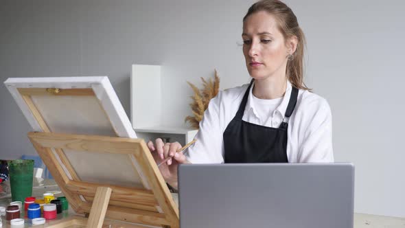 Mature Lady Artist Redraws Picture Looking at Laptop Screen