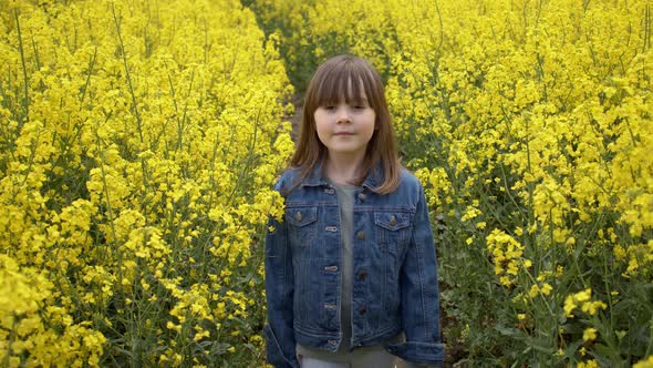 Adorable and Happy Little Girl Walking Through Blooming, Yellow Canola Field at Sunny Summer Day