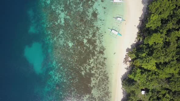 Aerial view of tropical island with green vegetation and white sandy beach with blue waters in the P