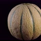 Whole ripe of Japanese Cantaloupe melon rotate on white Background. - VideoHive Item for Sale