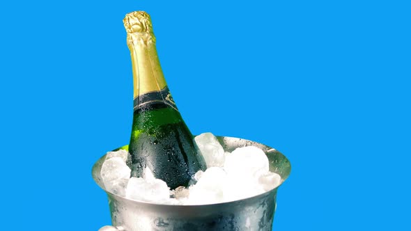 Champagne In Ice Bucket Bluescreen Isolated