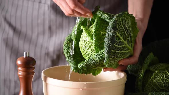 Female Hands Washing Cabbage, Organic Farming. Vegetables Growing in Garden. Farmer's Market. Farm