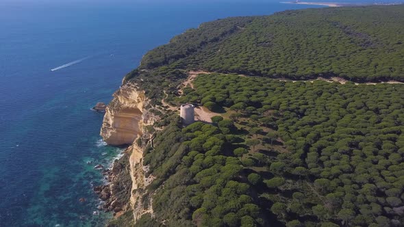 Aerial view of a big cliff in the mediterranean coast in Spain with the top full of pines.