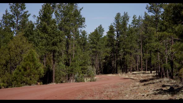 Footage from the southwestern area of Sedona - shot on RED Epic