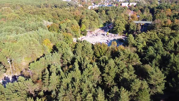 Palanga town and Basanavicius street with many conifer tree, aerial ascend view