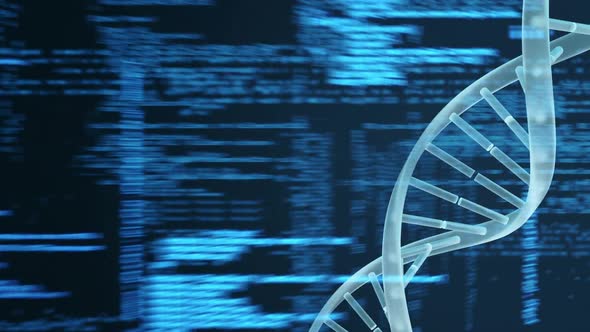 Spinning DNA against binary codes