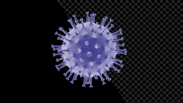 Coronavirus Visualization Covid 19 V14