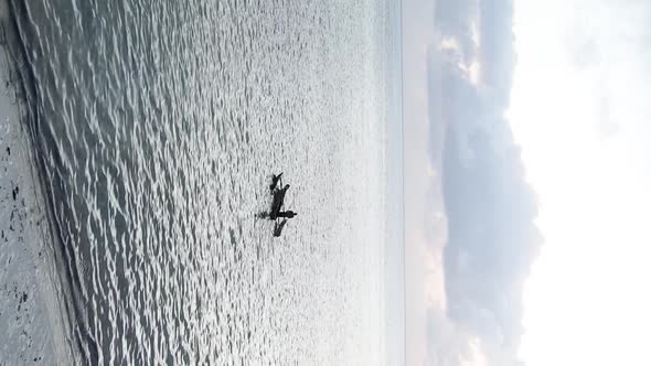 Vertical Video Boats in the Ocean Near the Coast of Zanzibar Tanzania Aerial View