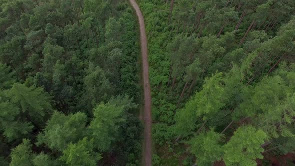 Aerial view of a mountain biker on a scenic singletrack trail