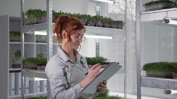 Young Businesswoman Grows Microgreens in Containers Inspects and Records the Condition of Sprouts