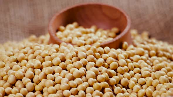 Soybean High in Fiber Top View Texture Supplementary Food Protein Healthy Food Organic Soybean Raw