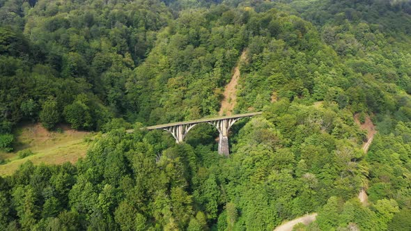 Old Miners' Railway Bridge in the Mountains and Forests