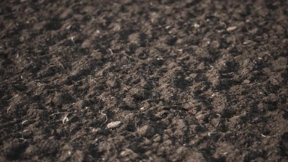 Black soil background