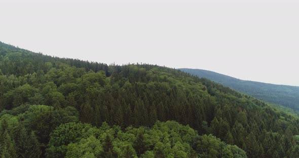 Beautiful View of Forest From Above