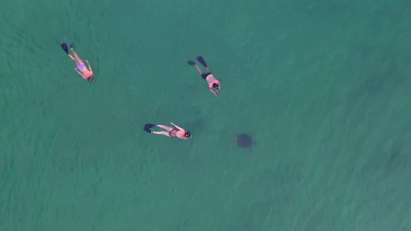 wide shot of 3 people snorkeling with in the Indian Ocean off Madagascar