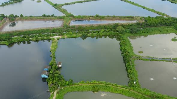 Aerial view Fish hatchery pond in Hong Kong