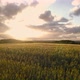 Aerial Drone View of Golden Fields with Dramatic Colorful Skies at Sunset - VideoHive Item for Sale