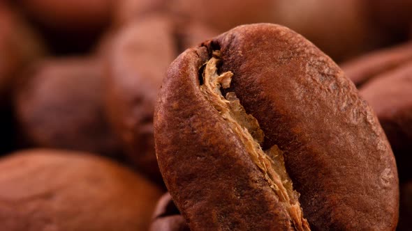 Closeup of Large Roasted Coffee Beans Slow Rotation