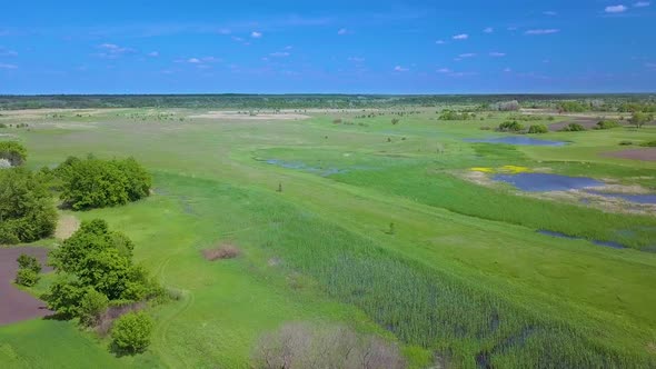 Flight Over Green Meadow and Lake in Spring