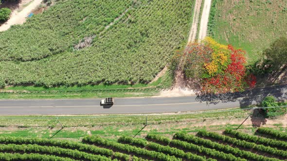 Rural road near farming landscape. Countryside rural scenery.