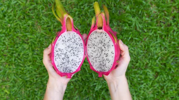 Closeup of Woman Hands Open Two Halves of Fresh White Dragon Fruit Pitaya