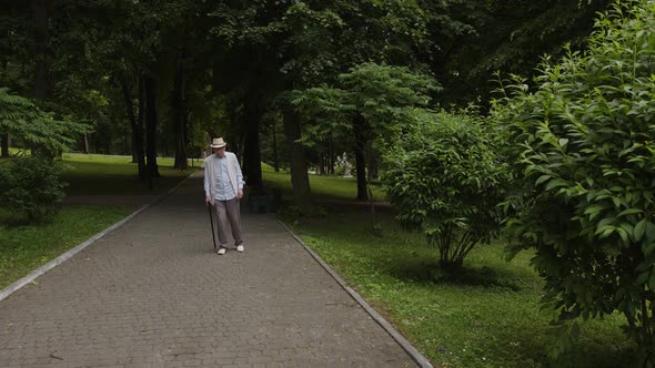 Old Man Walks in the Big Park