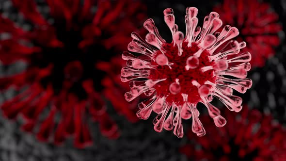 Close up of Red Coronavirus moving in human lung alt