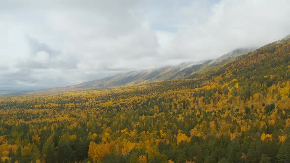 Moving forward on pine woods forest and mountain valley Eastern Sayan Siberia Buryatia Arshan