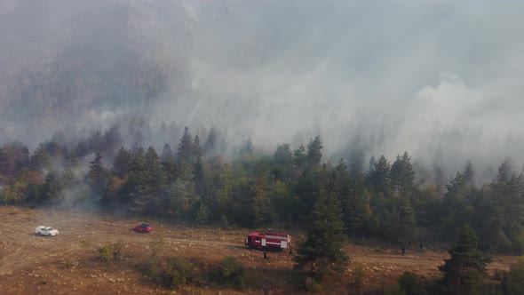 Fire in the forest aerial view. Cinematic aerial shot fire in the forest.