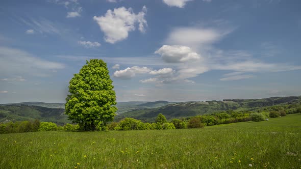 A magical view of nature in the countryside in the Czech Republic. Time lapse