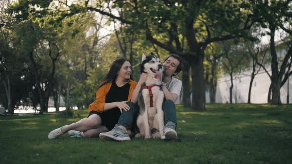 A happy couple in love sitting on the grass and playing with their cute husky.