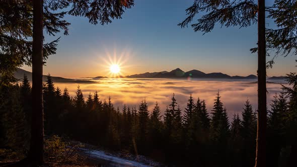 Sunrise in Forest Mountains Nature