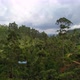 Tropical Landscape of Green Hills with Tea Plantations and Buildings - VideoHive Item for Sale