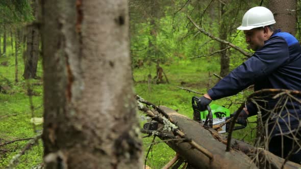 Man with chainsaw working in forest