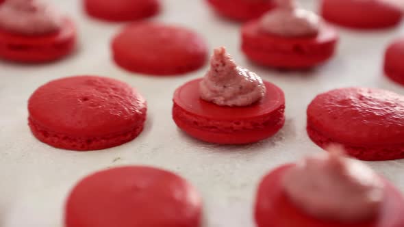 Closeup View of Many Rows of Red Opened Halves with Filling Macarons Macaroon on White Background