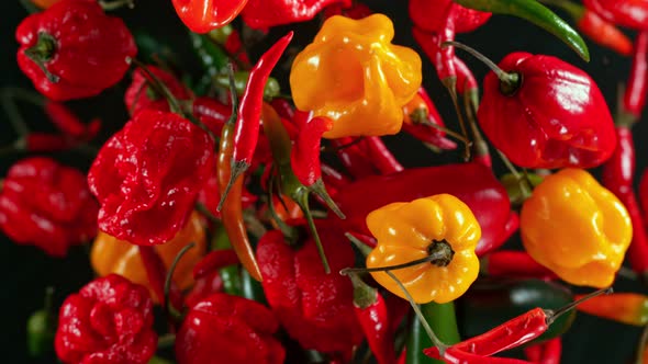 Super Slow Motion Shot of Flying Mixed Chilli Peppers Towards Camera at 1000Fps