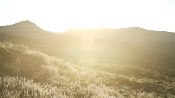 Sunset Over the Valley Fields