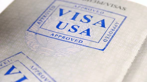 Put a Stamp in the Passport: USA Visa, Canceled