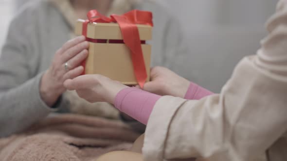 Camera Follows Gift Box in Female Hands As Woman Giving Present to Old Blurred Caucasian Retiree