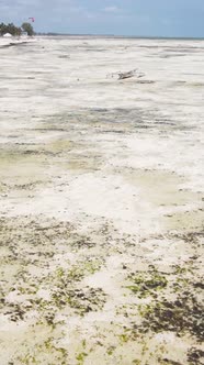 Vertical Video Boats in the Ocean Near the Coast of Zanzibar Tanzania