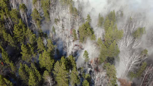 Top View of a Fire Erupted in the Forest