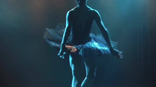 Silhouette of a Graceful Ballerina in a Chic Image of a Black Swan. Classic Ballet Pas. Shot in a