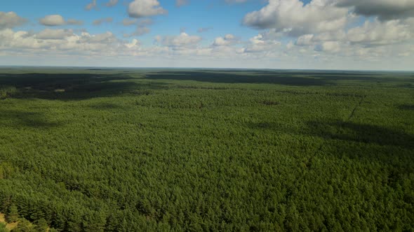 Aerial - Flying over the endless dense green forest on a cloudy day in Kowalskie Blota, Poland, dayt