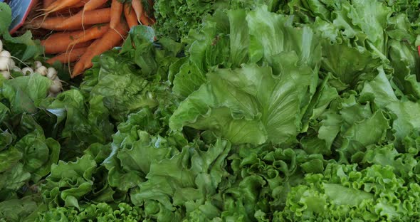 Fresh vegetables on stalls in a southern France market.