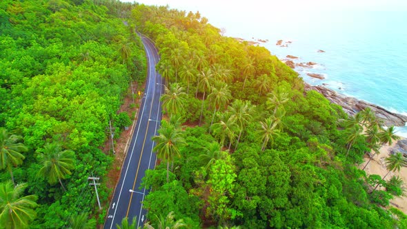 Drones fly over the shores of tropical seas. Beach summer scene