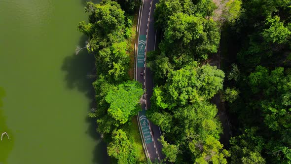 Aerial view Top-down green nature public park. Bike cycle way under green tree.