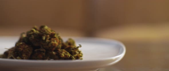 Plate with cannabis buds being moved on a table,close up,shallow depth of field