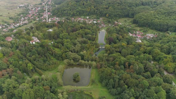 Aerial of a forest near a town